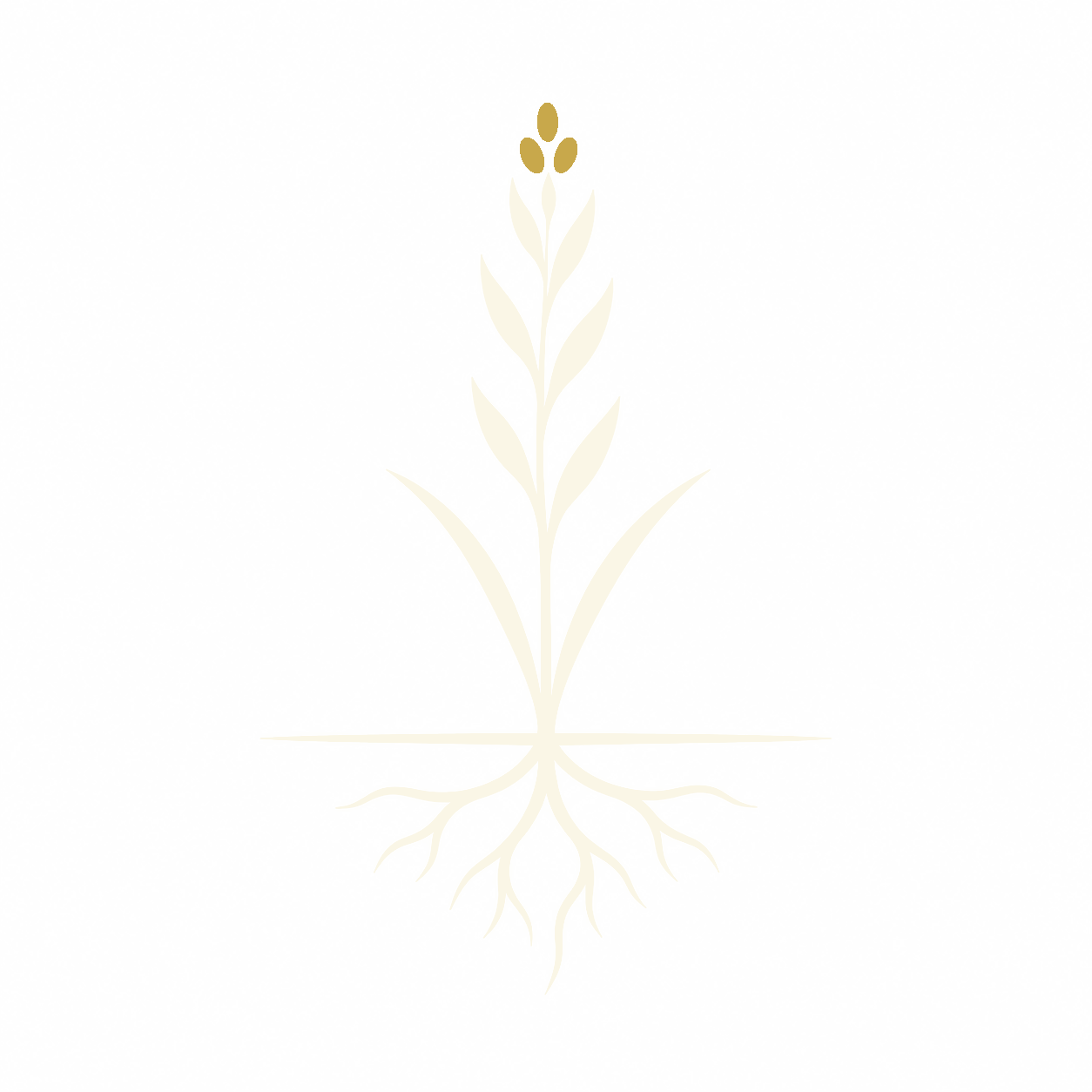 Prairie Roots Restoration